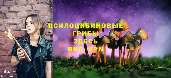 винт Покров