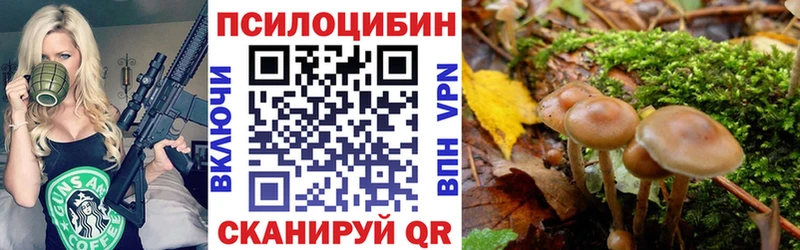 Псилоцибиновые грибы Psilocybe  закладки  Кировград 